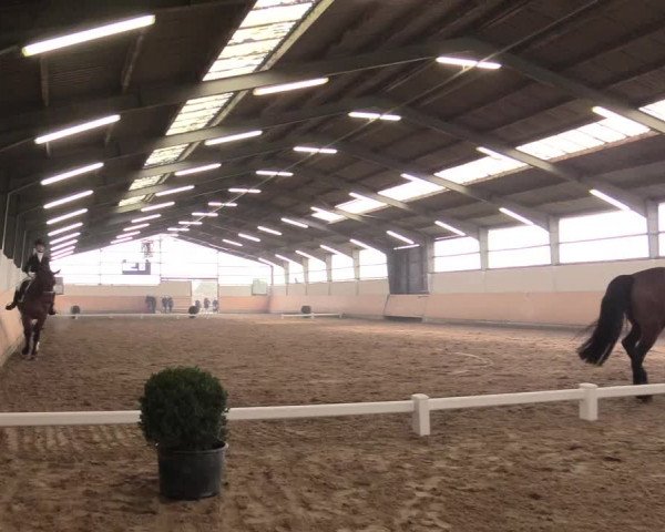 Reitturnier Datteln 2018