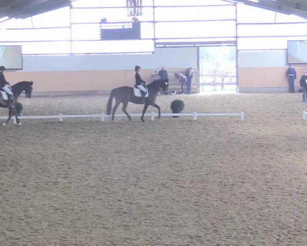 Reitturnier Datteln 2018