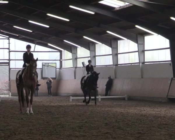 Reitturnier Datteln 2018