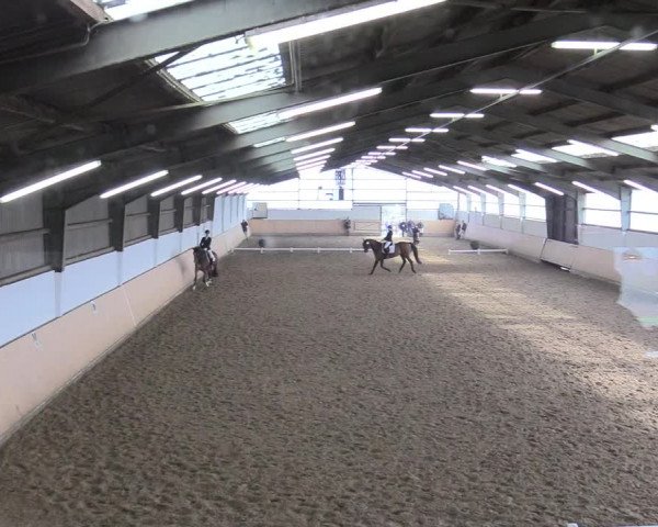 Reitturnier Datteln 2018