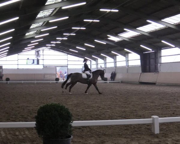 Reitturnier Datteln 2018