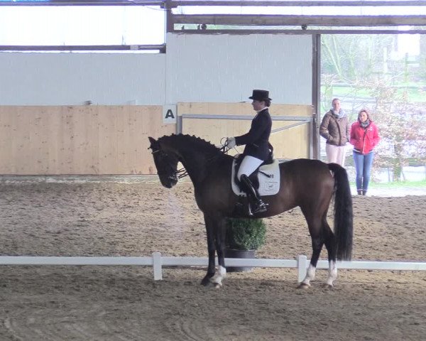 Reitturnier Datteln 2018
