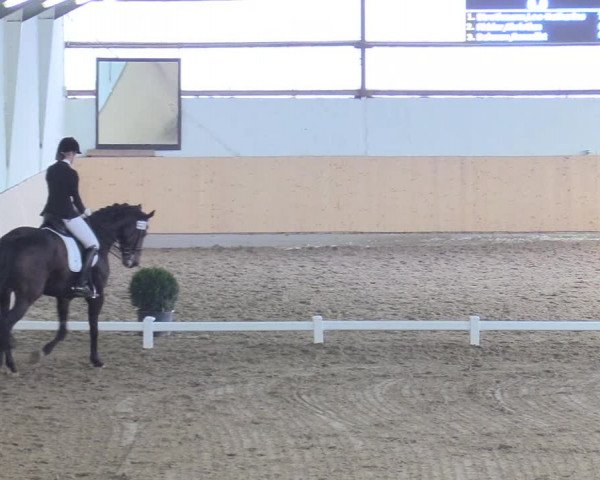 Reitturnier Datteln 2018