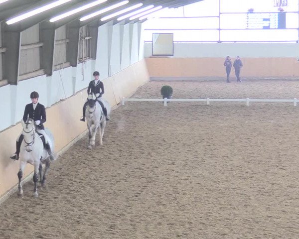 Reitturnier Datteln 2018