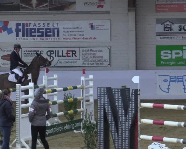 Reitturnier Borken 2018
