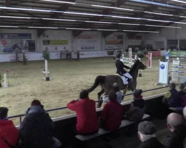 Reitturnier Borken 2018