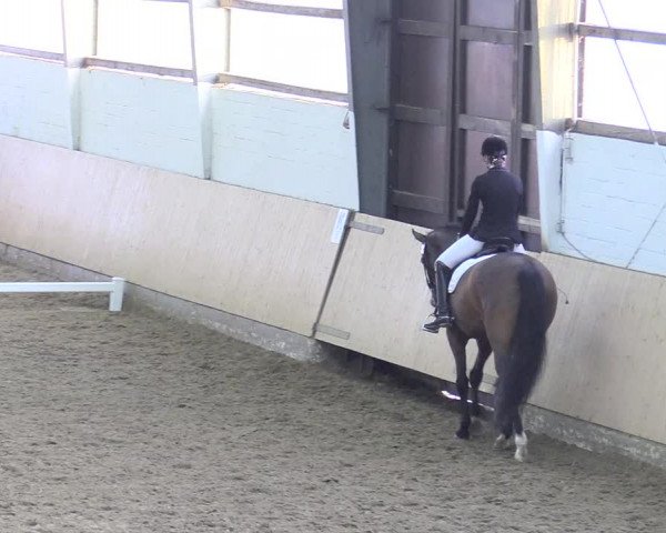 Reitturnier Datteln 2018
