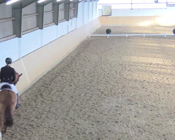 Reitturnier Datteln 2018