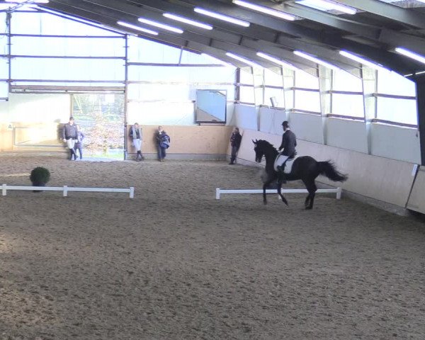 Reitturnier Datteln 2018