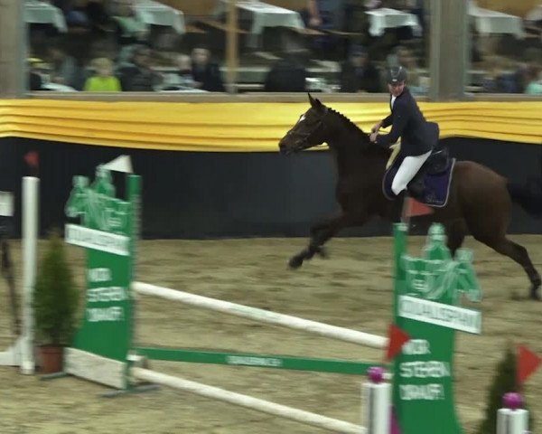Pferdesporttage Erlen 2018