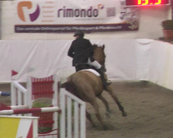 Reitturnier Viernheim 2018