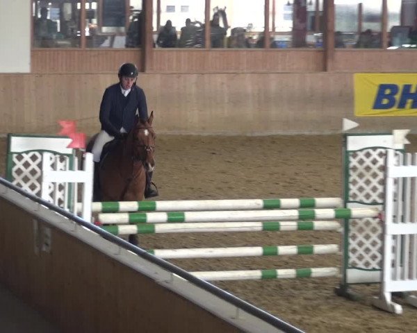 Reitturnier Köln-Leverkusen 2018