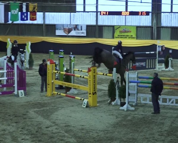 Pferdesporttage Erlen 2018