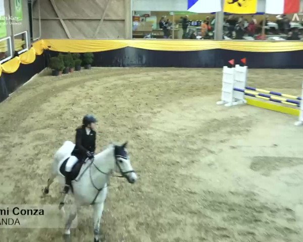 Pferdesporttage Erlen 2018
