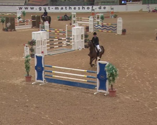Reitturnier Kreuth 2018