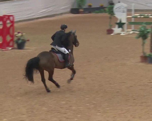 Reitturnier Kreuth 2018