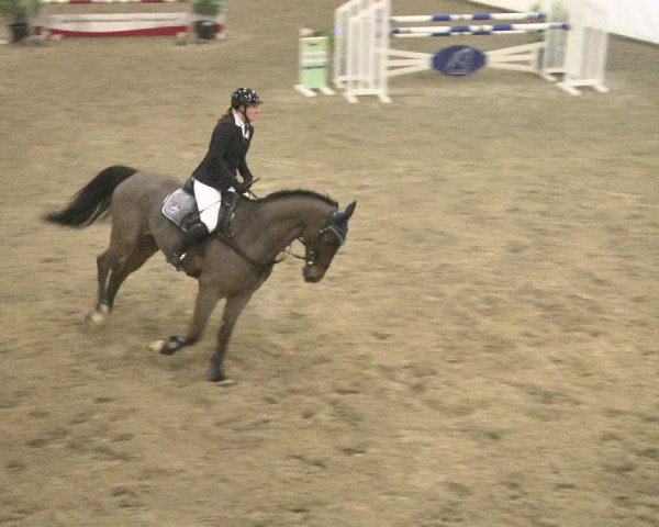 Reitturnier Viernheim 2018