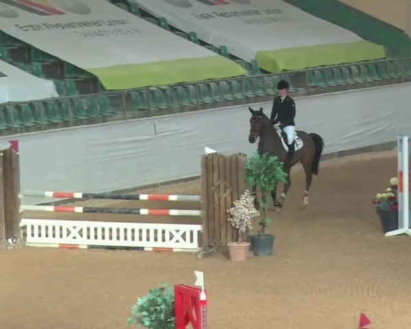 Reitturnier Kreuth 2018