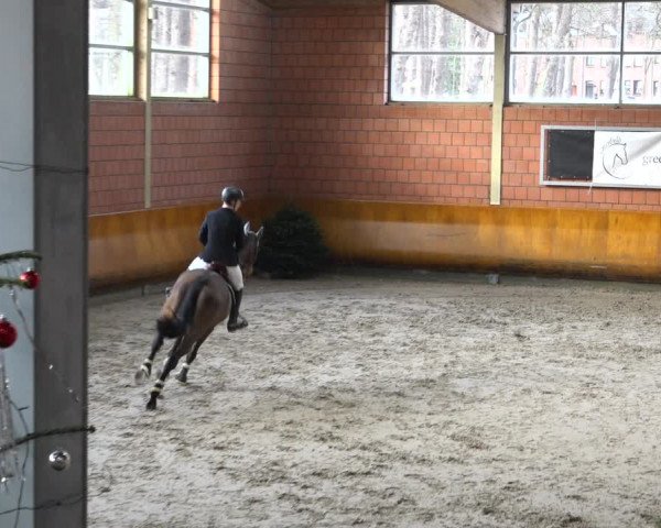 Reitturnier Mönchengladbach-Wickrath 2021