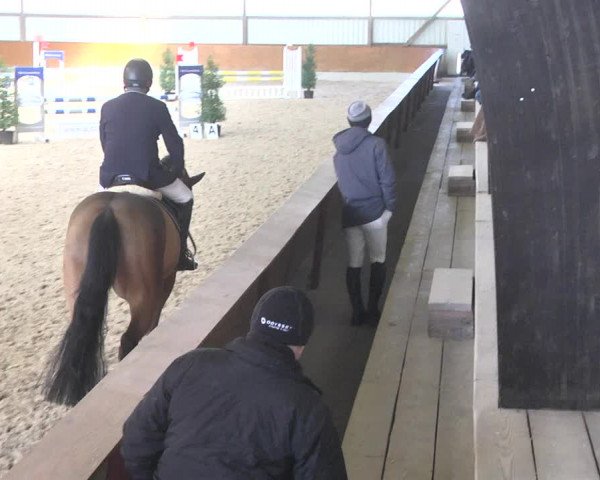 Reitturnier Viernheim 2018