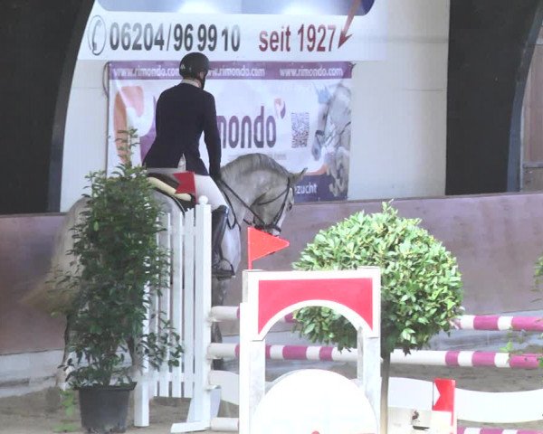 Reitturnier Viernheim 2018
