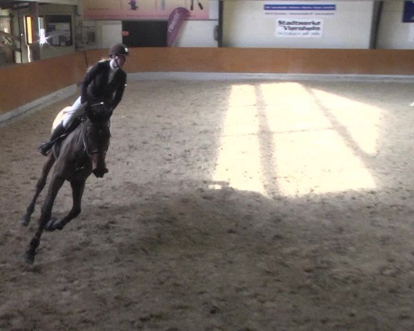 Reitturnier Viernheim 2018