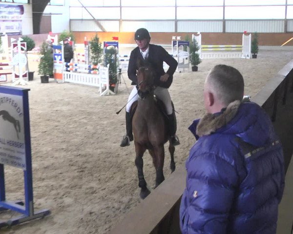 Reitturnier Viernheim 2018