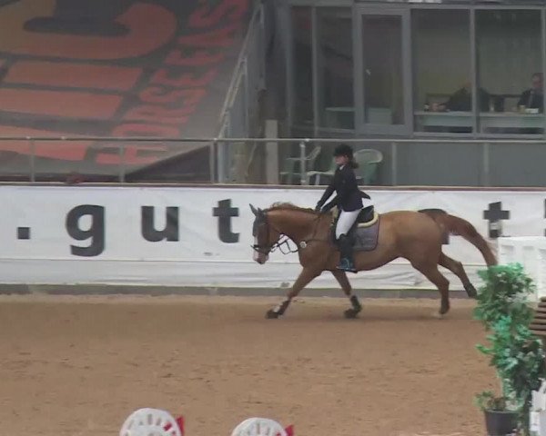 Reitturnier Kreuth 2018