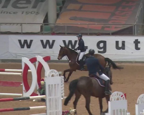 Reitturnier Kreuth 2018
