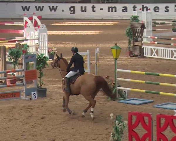 Reitturnier Kreuth 2018