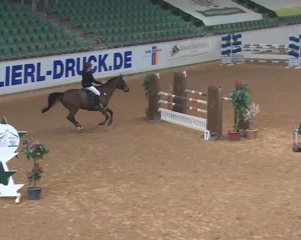 Reitturnier Kreuth 2018
