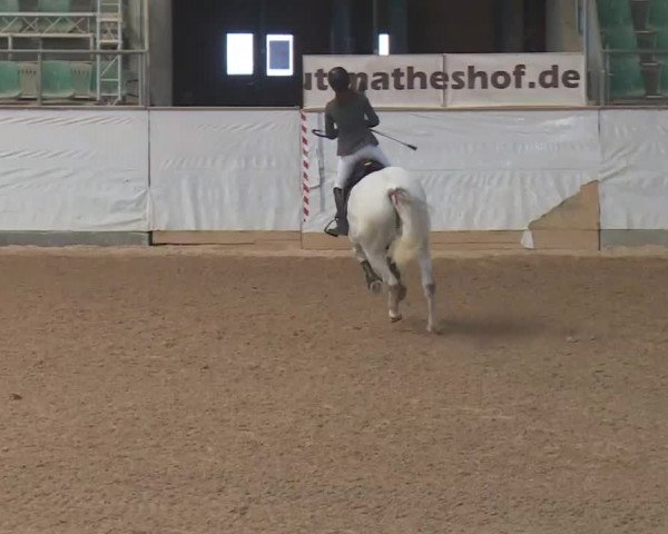 Reitturnier Kreuth 2018