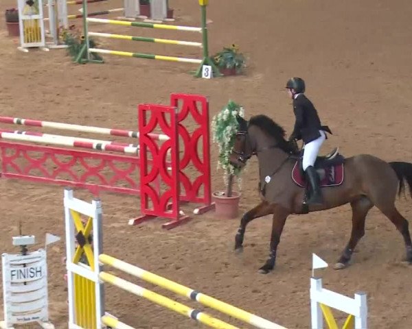 Reitturnier Kreuth 2018