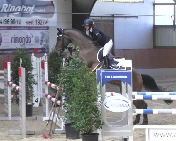 Reitturnier Viernheim 2018