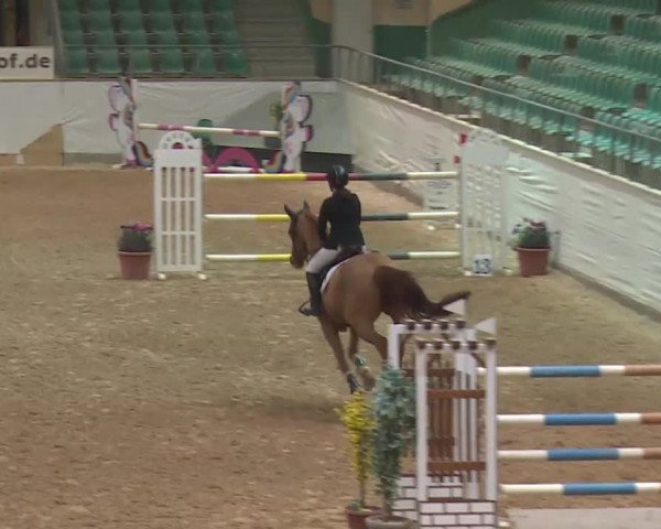 Reitturnier Kreuth 2018