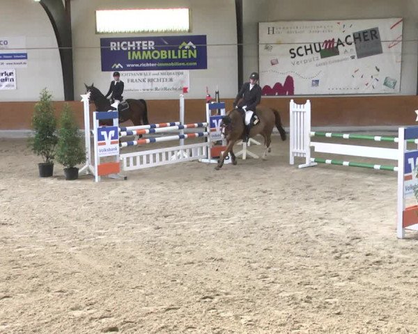 Reitturnier Viernheim 2018
