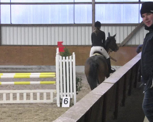 Reitturnier Viernheim 2018