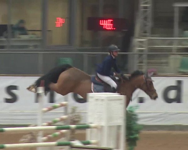 Reitturnier Kreuth 2018
