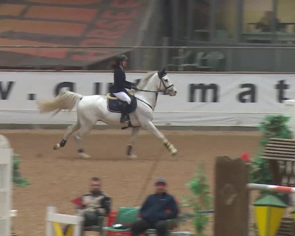 Reitturnier Kreuth 2018