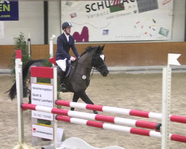 Reitturnier Viernheim 2018