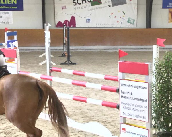 Reitturnier Viernheim 2018
