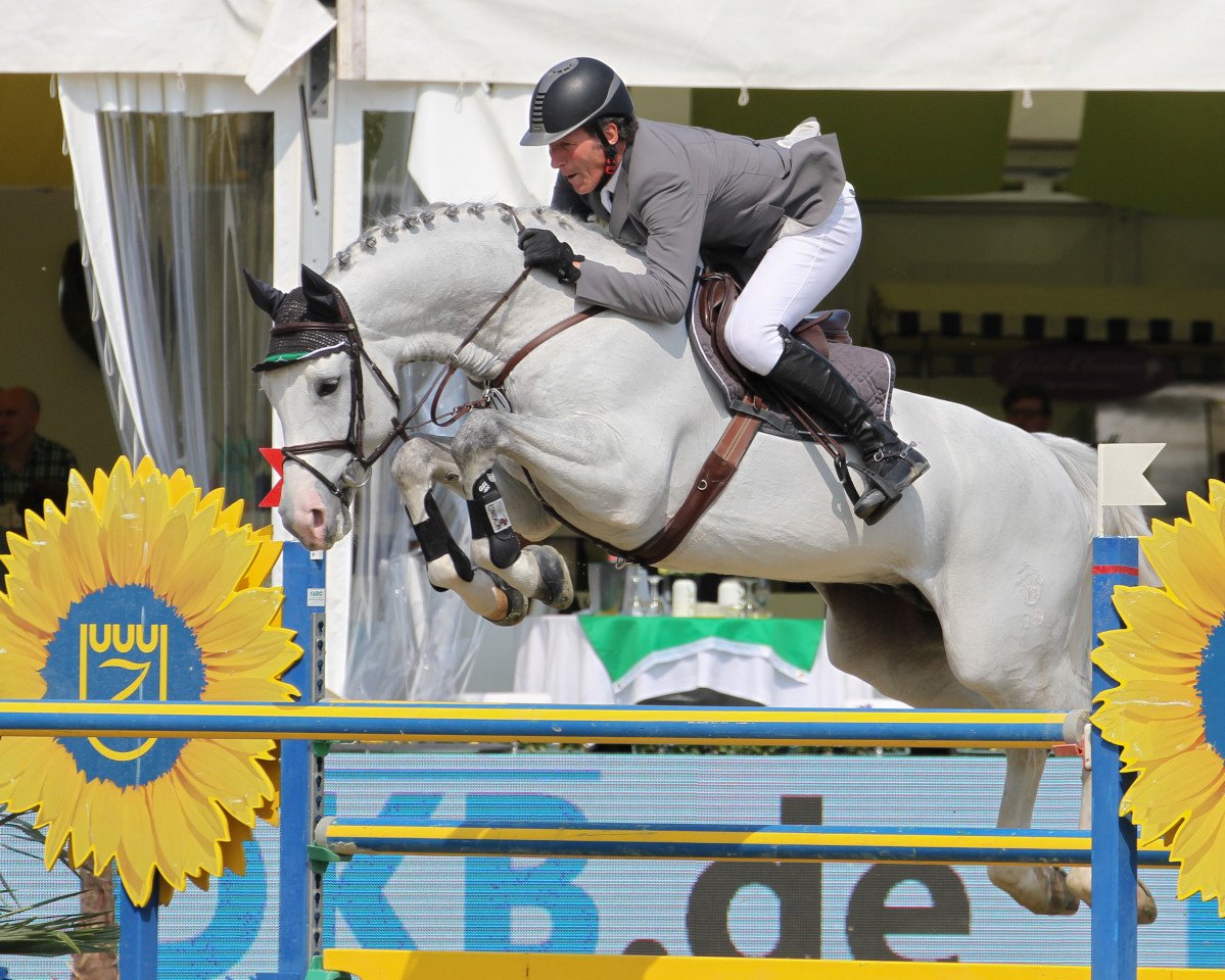 stallion Colestus (Westphalian, 2006, from Cornet Obolensky)