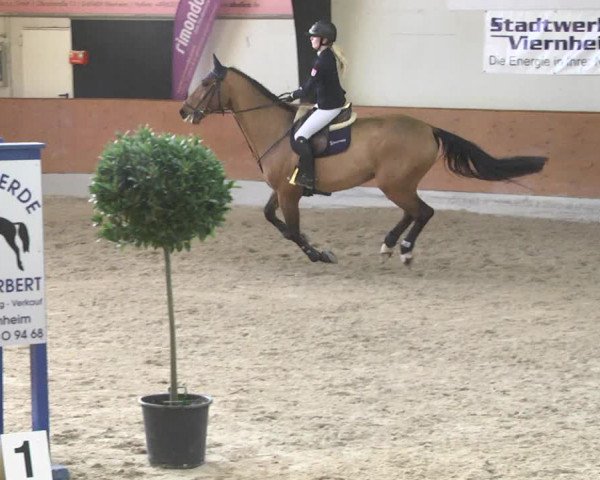 Reitturnier Viernheim 2018