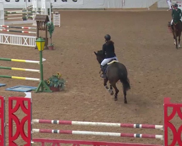 Reitturnier Kreuth 2018
