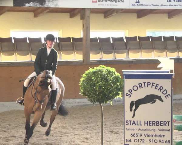 Reitturnier Viernheim 2018