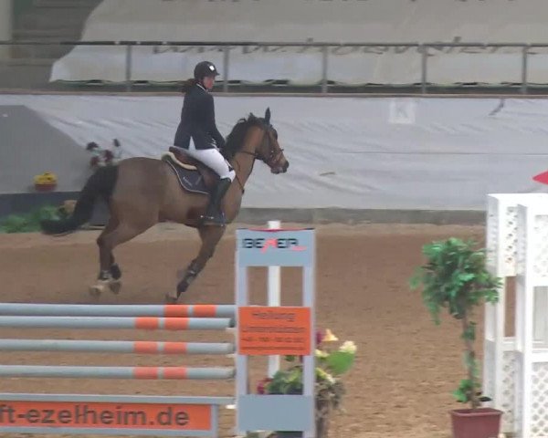 Reitturnier Kreuth 2018