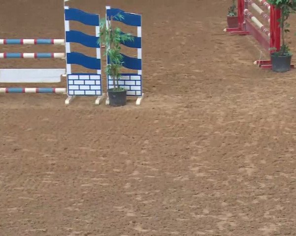 Reitturnier Kreuth 2018