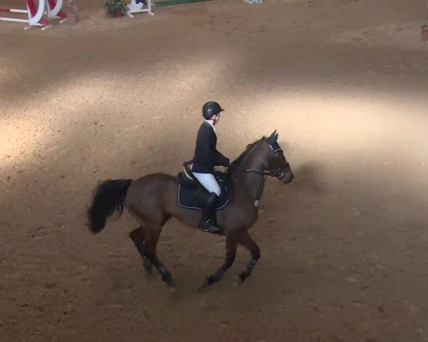 Reitturnier Kreuth 2018