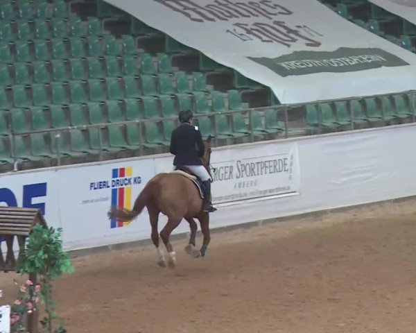 Reitturnier Kreuth 2018