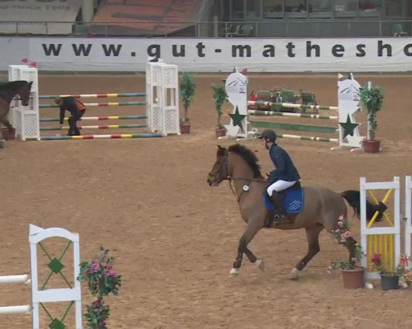 Reitturnier Kreuth 2018